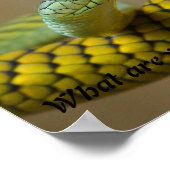 ヘビ ポスター (角)