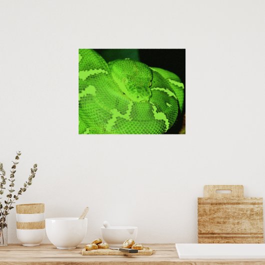 ヘビ ポスター (キッチン)