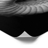 ヘビ ポスター (角)