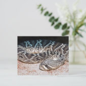 ヘビ ポストカード (スタンド正面)