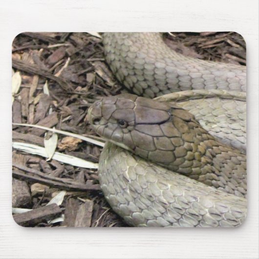 ヘビ マウスパッド (正面)