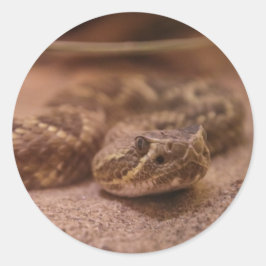 ヘビ ラウンドシール