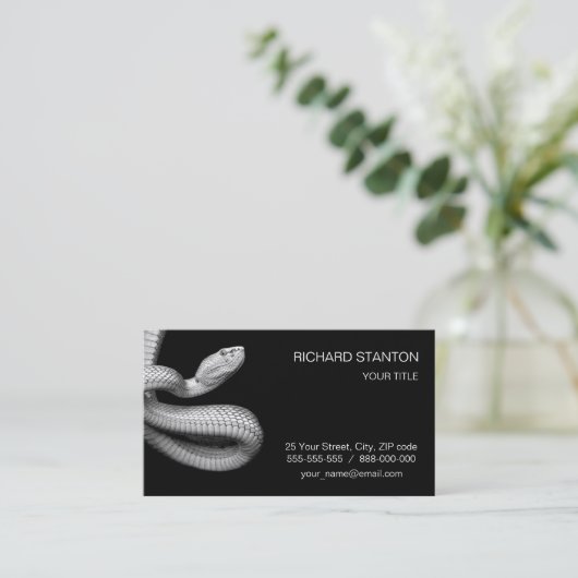 ヘビ 名刺 (スタンド正面)