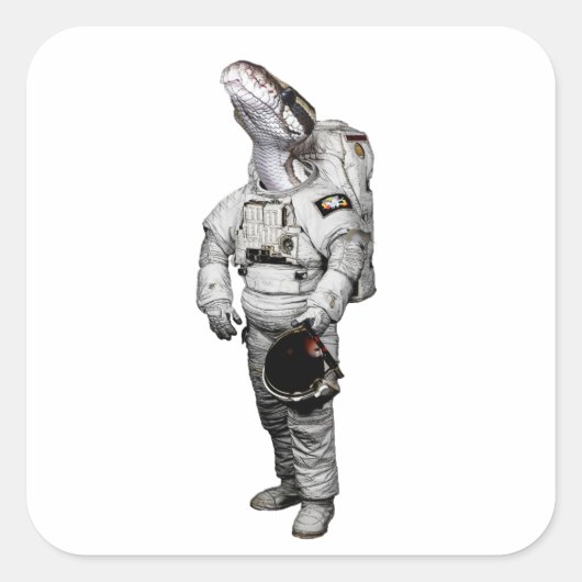 ヘビ 宇宙飛行士 ステッカー (正面)
