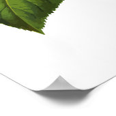 ヘブライ賛美語でシャブバットキャンドル紫陽花 ポスター (角)