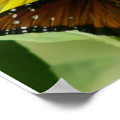 ヘブル11:1蝶プリント ポスター (角)