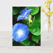 ヘブンリーブルーモーニンググローリー誕生日カード カード (黄色い花)