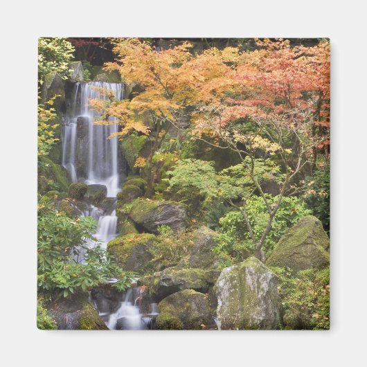 ヘブンリー滝と紅葉 マグネット (正面)