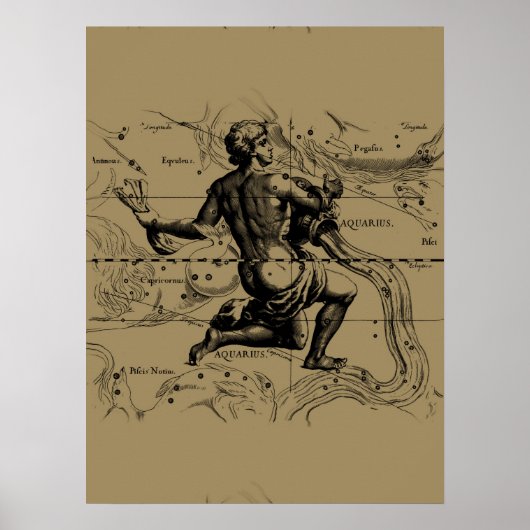 ヘベリウスによる水族座の地図 ポスター (正面)