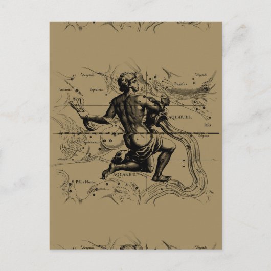 ヘベリウスによる水族座の地図 ポストカード (正面)