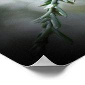 ヘムロックの涙 ポスター (角)