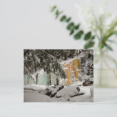 ヘムロック&アイフ頭が切れるロー、ズブルック、ソーントン、NH ポストカード (スタンド正面)