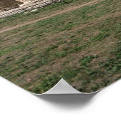 ヘラの神殿 ポスター (角)