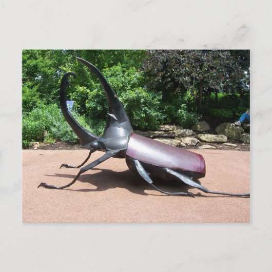 ヘラクレス・ビートル彫刻 ポストカード (正面)