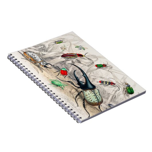 ヘラクレス・ビートル、シアラバエストライプの・ティタクリックイス ノートブック (右側)