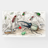 ヘラクレス・ビートル、シアラバエ・タイタスストライプの。 横断幕 (横)