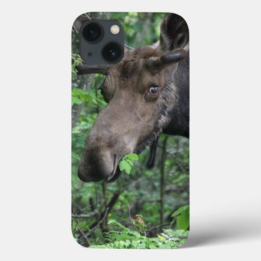 ヘラジカ 北の動物 公園 平和 希望 愛 運命 Case-Mate iPhoneケース (裏面)