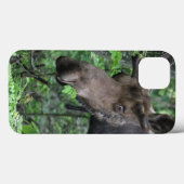 ヘラジカ 北の動物 公園 平和 希望 愛 運命 Case-Mate iPhoneケース (裏面 (横))