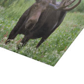ヘラジカ (Alces alces) と野の花 カッティングボード (角)