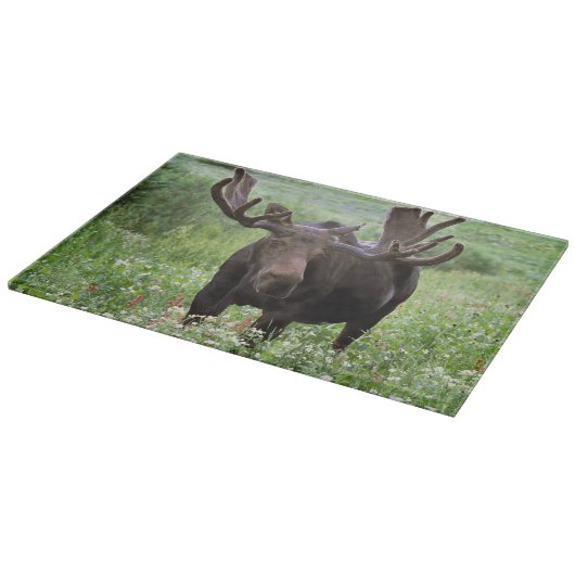 ヘラジカ (Alces alces) と野の花 カッティングボード (角)
