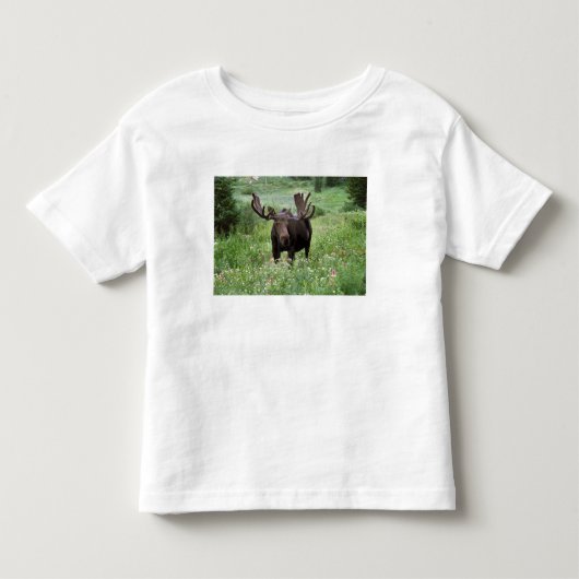 ヘラジカ (Alces alces) と野の花 トドラーTシャツ (正面)