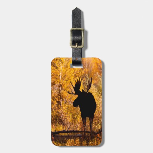 ヘラジカ (Alces Alces) の雄、金色のヤナギの木の間を歩く 2 ラゲッジタグ (正面縦)