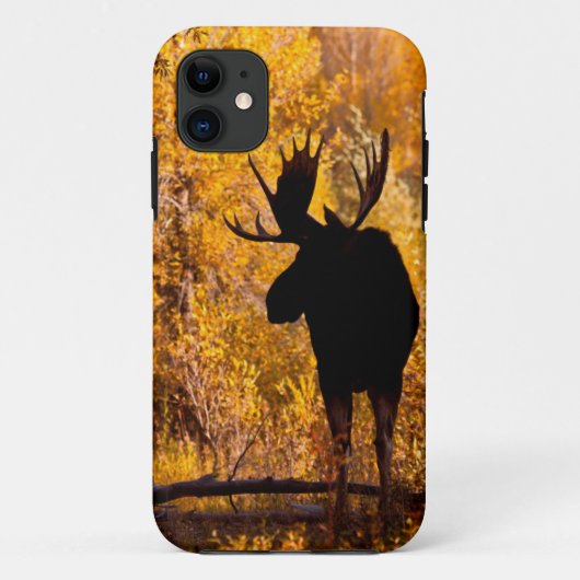 ヘラジカ (Alces Alces) の雄、金色のヤナギの林 2 Case-Mate iPhoneケース (裏面)