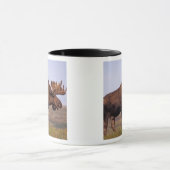 ヘラジカ, Alces alces,大きな角を持つ雄 マグカップ (中央)