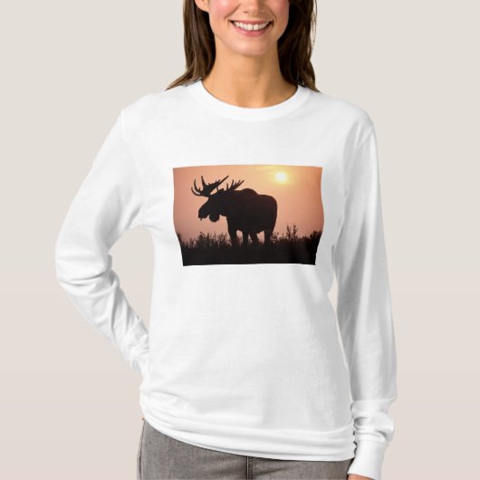 ヘラジカ, Alces alces, 大きな角を持つ雄 Tシャツ (正面)