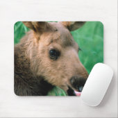 ヘラジカ, Alces alces, 草に横たわる子鹿, キナイ マウスパッド (マウス)