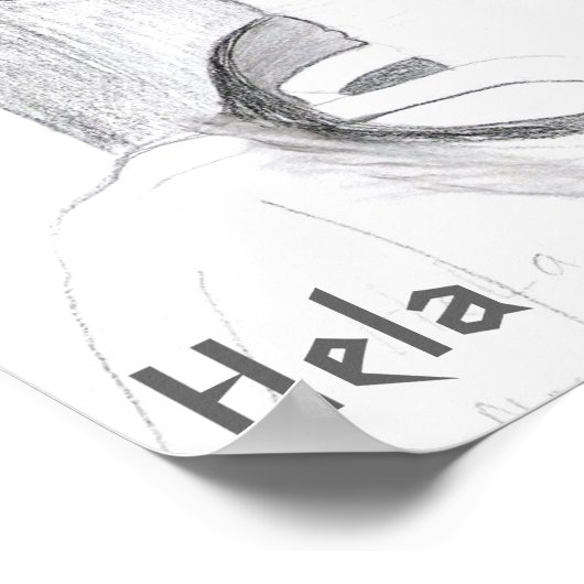 ヘラ ポスター (角)