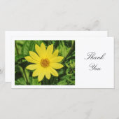 ヘリアンサス「レモンクイーン」ひまわり花 – ありがとう サンキューカード (正面/裏面)