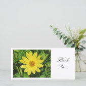 ヘリアンサス「レモンクイーン」ひまわり花 – ありがとう サンキューカード (スタンド正面)