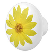 ヘリアンサス「レモンクイーン」ひまわり花（孤立） セラミックノブ (右)