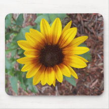 ヘリアントゥス環