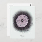 ヘリオゾア微生物学ギークデジタルアート ポストカード (正面/裏面)