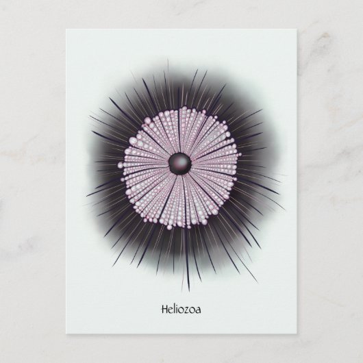 ヘリオゾア微生物学ギークデジタルアート ポストカード (正面)