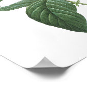 ヘリオトロペ（ヘリオトロピウム胸腺腫）byレッドヴェー ポスター (角)