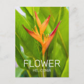 ヘリコニアフラワーズボタニカルプラントガーデンデザイン シーズンポストカード (正面)