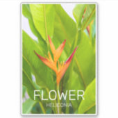 ヘリコニアフラワーズボタニカルプラントガーデンデザイン シール (正面)