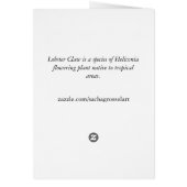 ヘリコニアロブスタークロートロピカルウォーター色の花 (裏面)