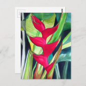 ヘリコニアロブスタークロー熱帯水彩カラーフラワー ポストカード (正面/裏面)