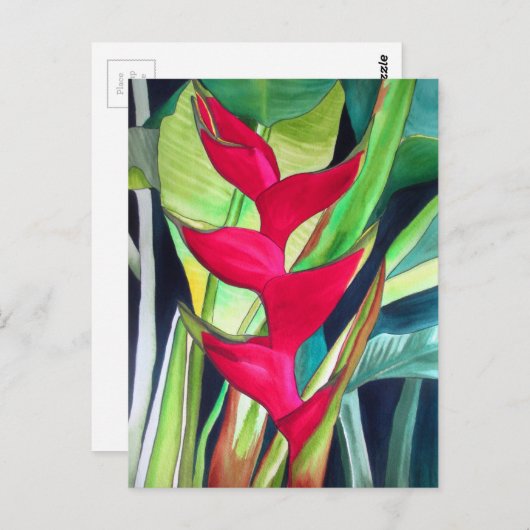 ヘリコニアロブスタークロー熱帯水彩カラーフラワー ポストカード (正面/裏面)