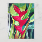 ヘリコニアロブスタークロー熱帯水彩カラーフラワー ポストカード (正面)