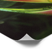 ヘリコニア、ヘリコニア・ワルカーヤナ)、ラ・セルバ ポスター (角)