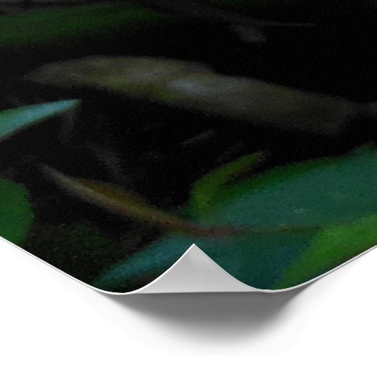 ヘリコニア ポスター (角)