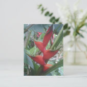 ヘリコニア ポストカード (スタンド正面)