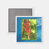 ヘリコニア・ロストラタ マグネット (正面/裏面)