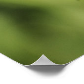 ヘリコニウス・シマウマ ポスター (角)