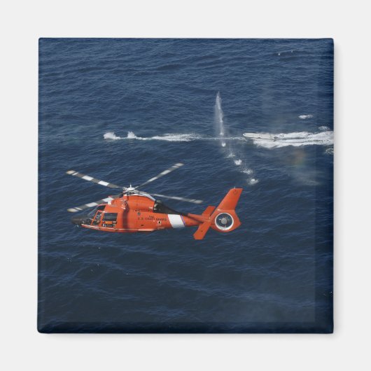 ヘリコプターの乗組員が訓練する マグネット (正面)